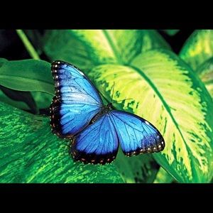 Meet your Posher, Heba